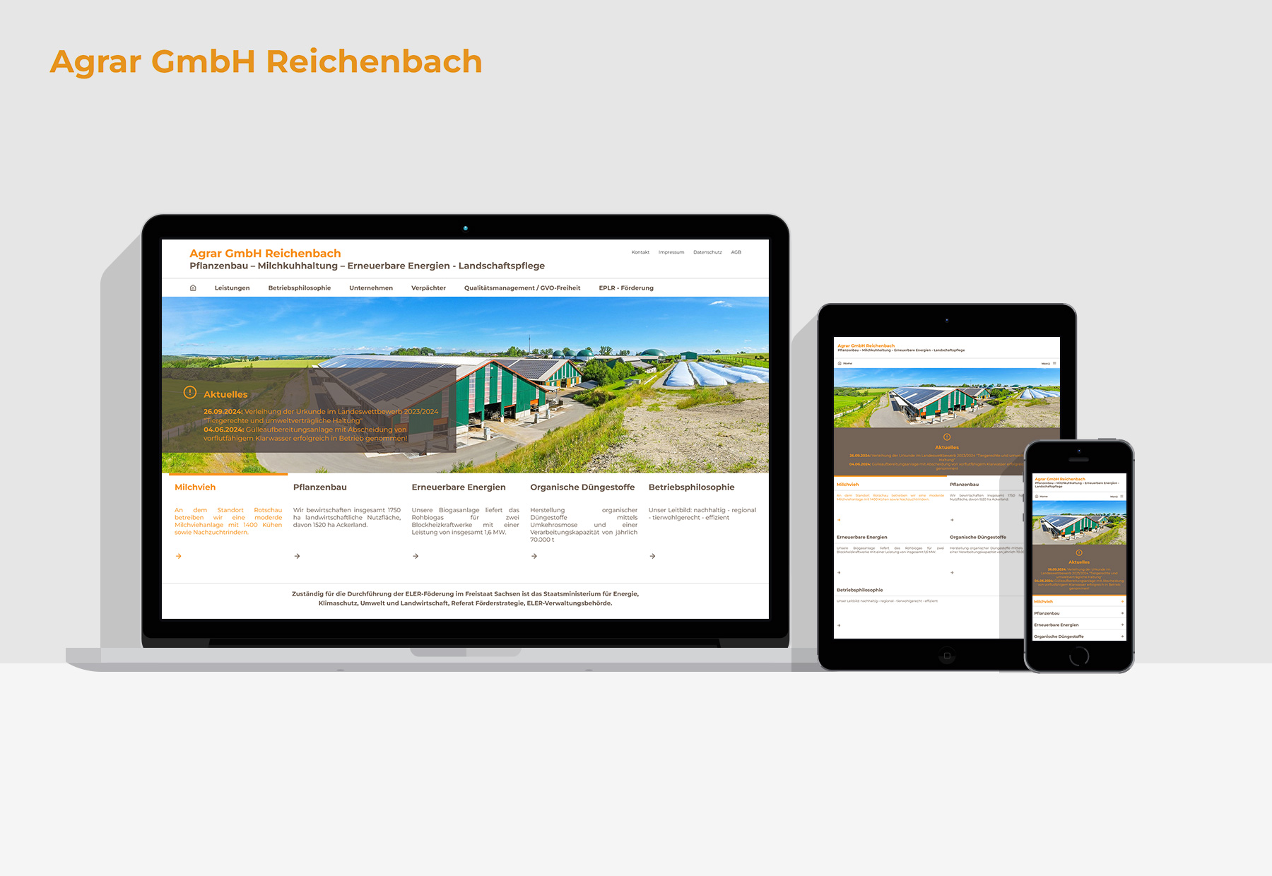 AG Reichenbsch Layout